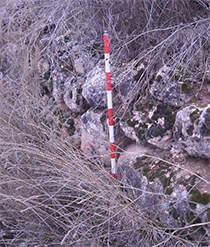 Parte de la muralla del 'oppidum' del Llano de San Pedro, en Valderrebollo, durante las prospecciones arqueolgicas de Emilio Gamo Pazos en 2010