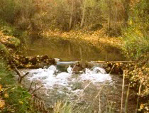 El ro junto al puente de Moranchel en otoo