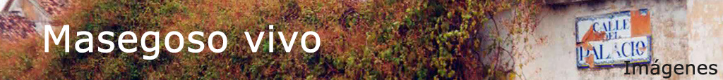 Barra distintiva de Masegoso vivo con una vista de Masegoso de Tajua